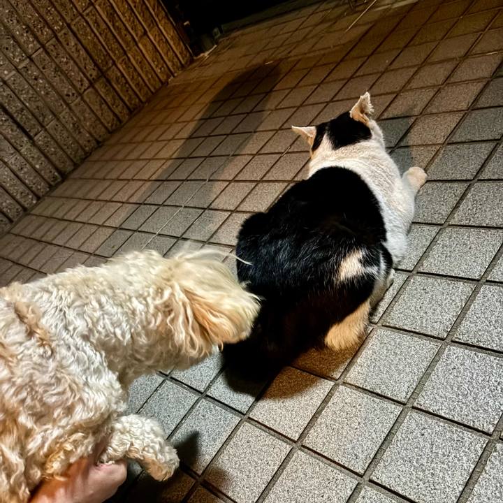 20c8b9ec 5e8c 44af 905d 60d136190664 1764726316291