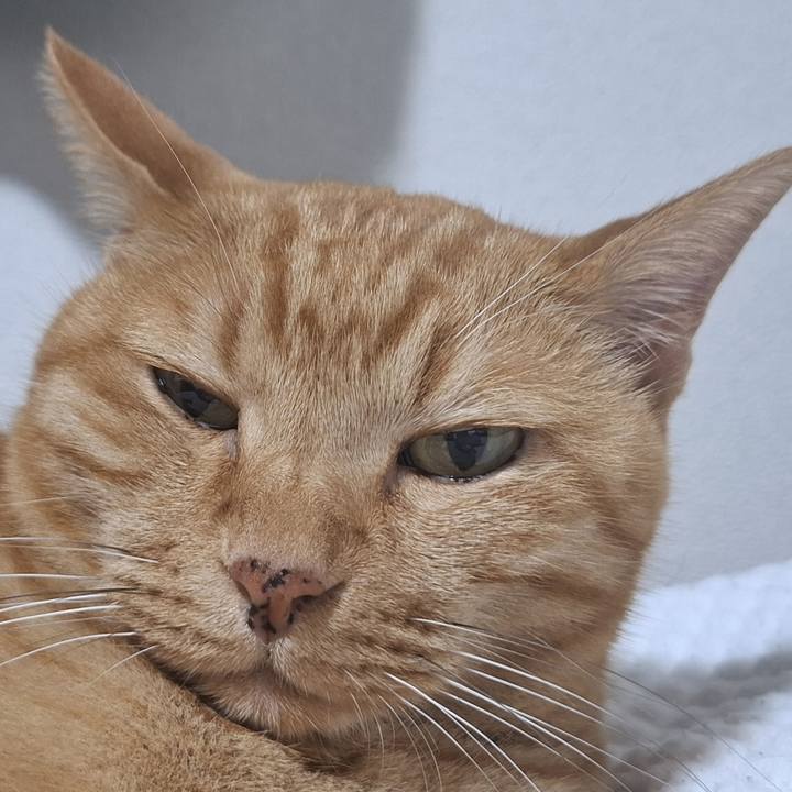 20c8bb5a 509f 4727 a8e4 12d975a47cd2 1723505628954