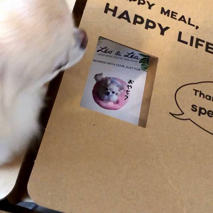 20c8c68a 1794 40c0 8da9 c18b7e5aa79a 1533954540255