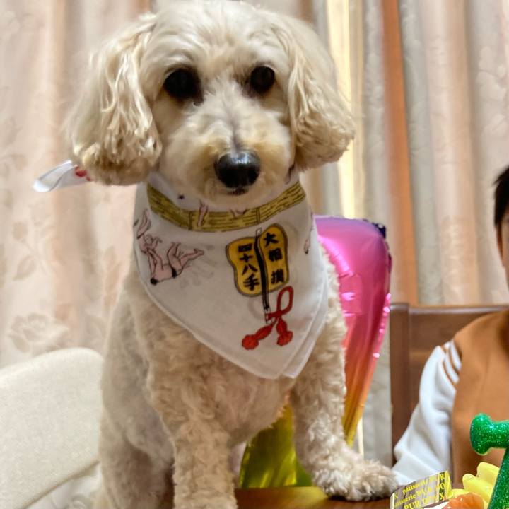 20c8d42a 1657 4b89 99e5 57327c428bd6 1763896113114