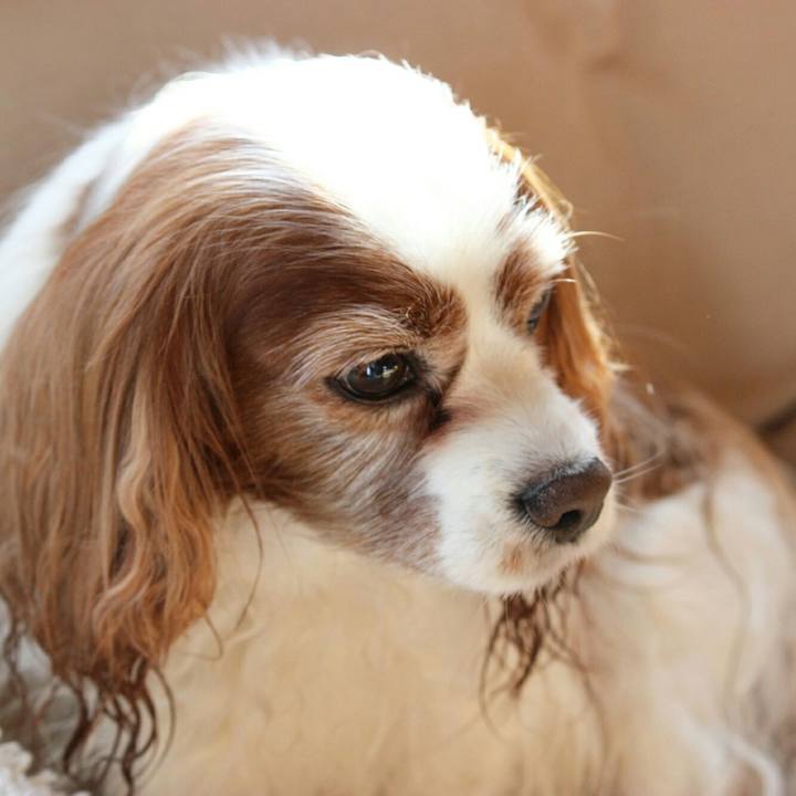 20c92d0c 853f 4b81 9246 97ff044c3a1c 1514521965812