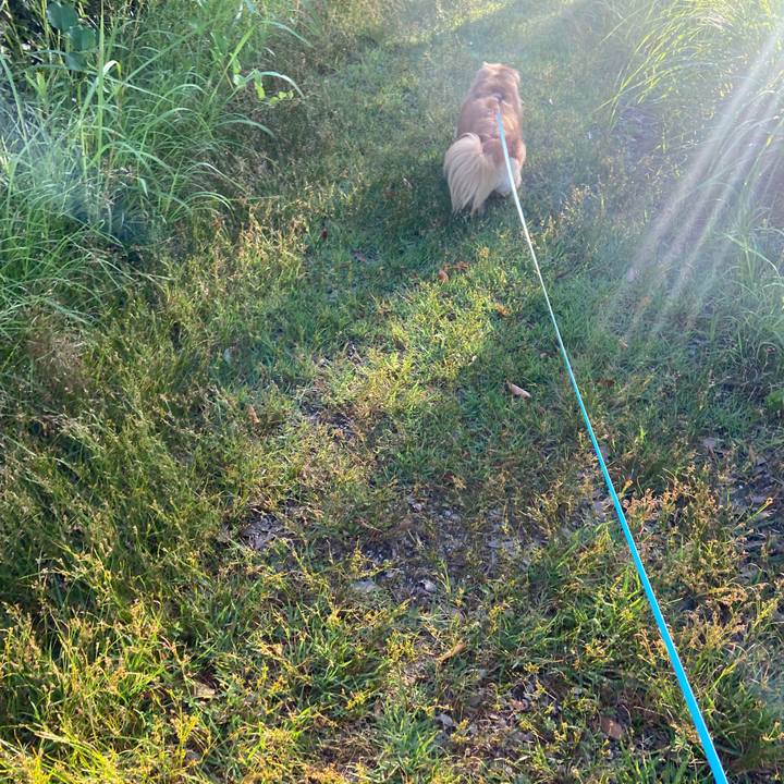 20c940ec 6ecb 4de1 9b61 48ea7e8dfd70 1656537986952