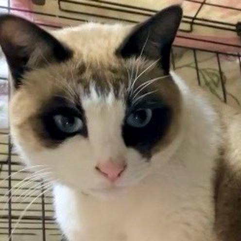 20c964ae da88 412b a08e d0f2e3c7a5d5 1738056317568