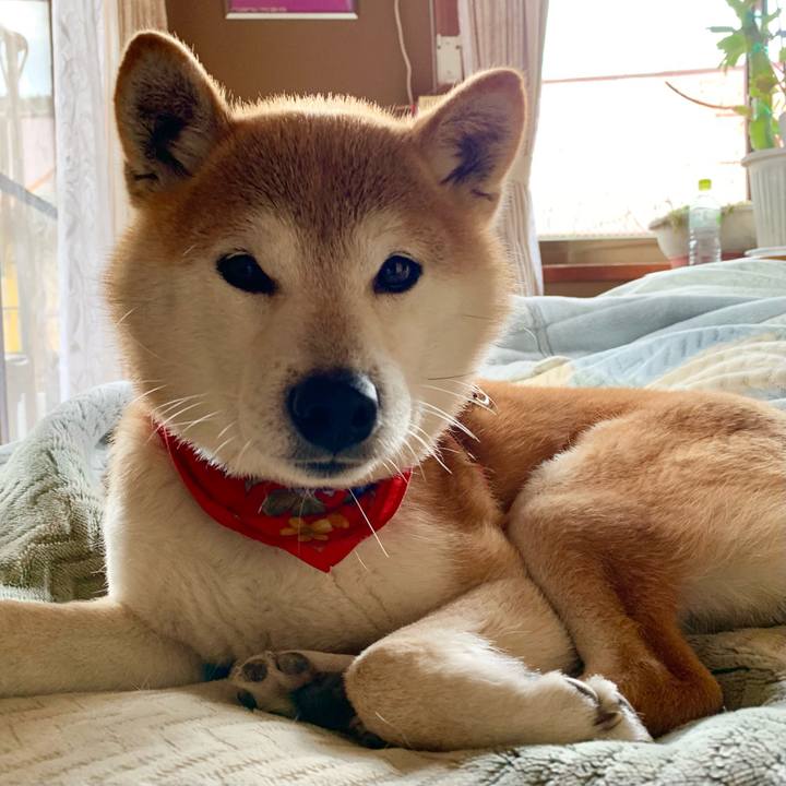 20c96b72 84a8 45aa 975e 4291c365ad9d 1614681629795