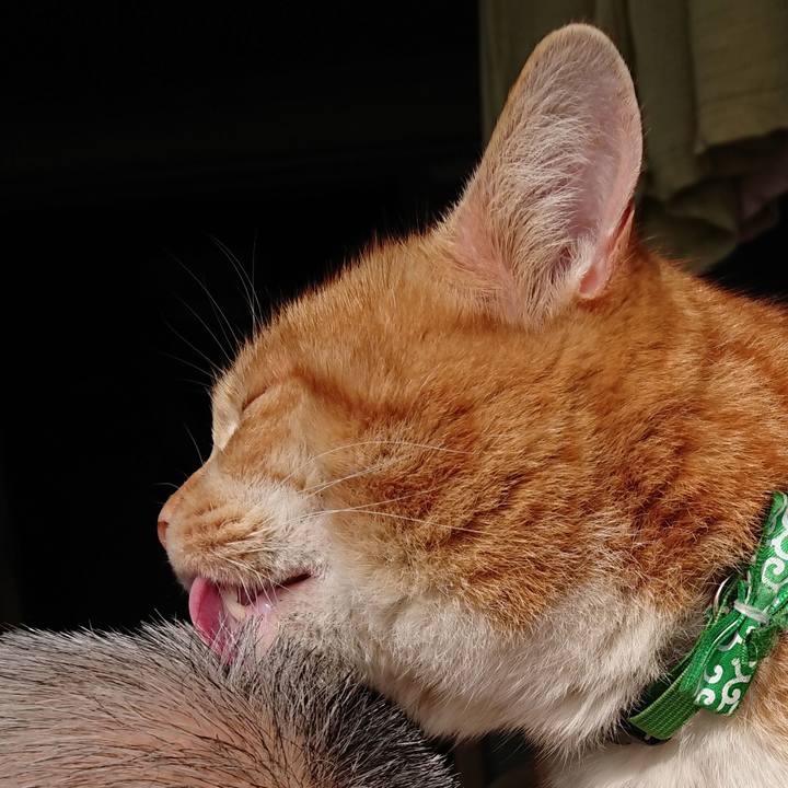 20c97e58 40e9 475a a3a7 3111698f046b 1581139958286