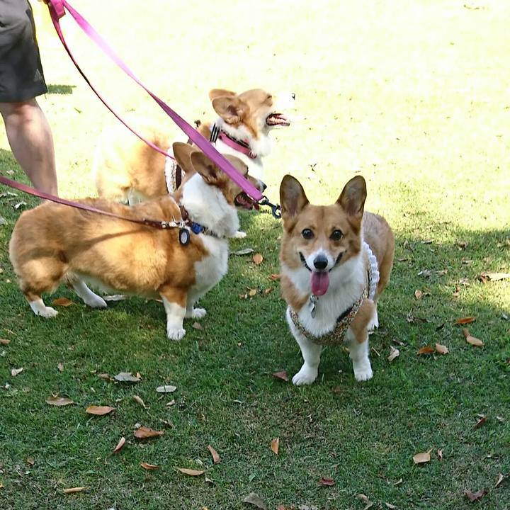 20c9cb3e 48a0 4c1d a381 828af34a2c42 1538893214084