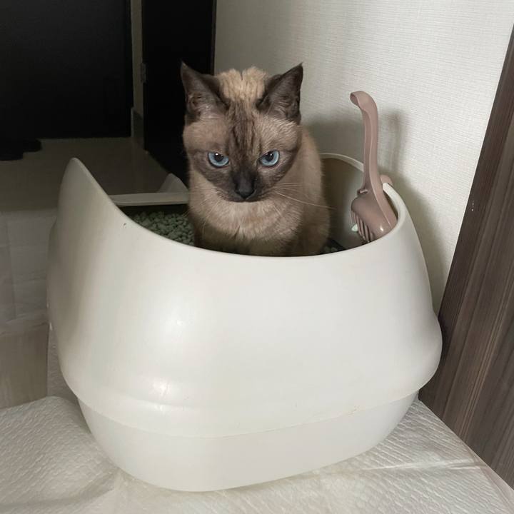 20c9cd90 f85c 4eec 9d62 2c9321fb29f0 1758589575678