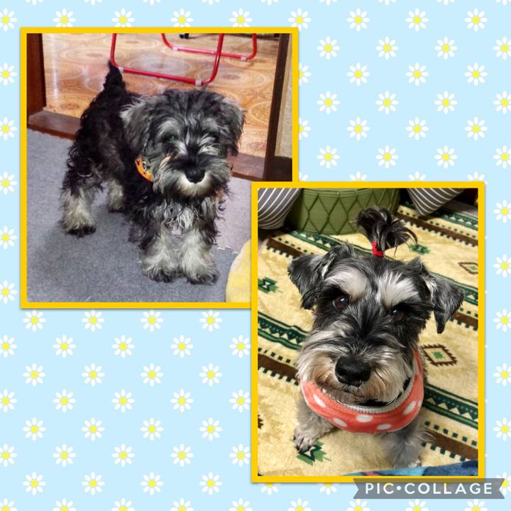 20c9ec62 d588 4824 b182 9dd4a97ad7ed 1649859333424