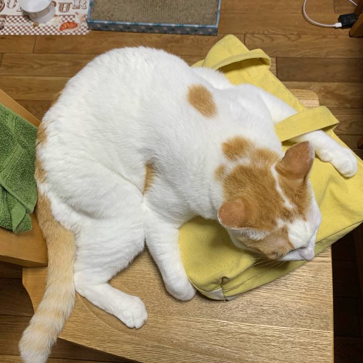 20c9f5c7 c52f 4ec3 a341 125d583d8b9e 1627559263729