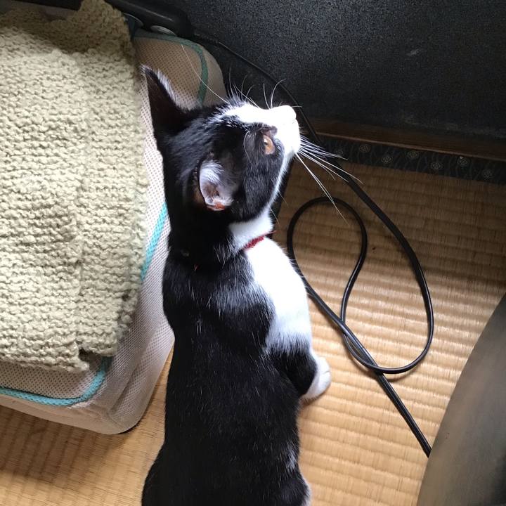 20ca10da 2cbd 42dc a75b 09799f1c9dc7 1628916347366