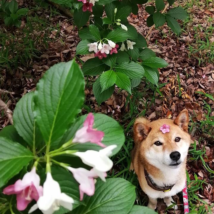 20ca3518 833b 49c8 b5a6 c0dba26ec2dc 1590058461695