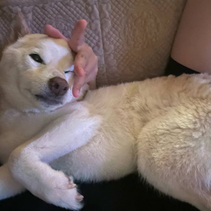 20ca4f5c 97ad 482c b194 313af0539741 1650818429511