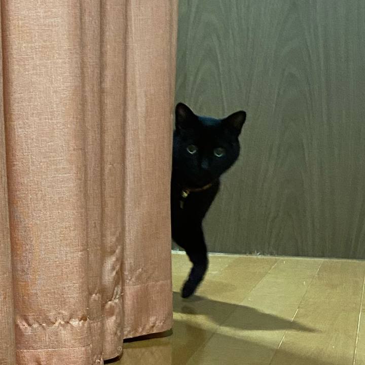 20ca7598 a936 4af2 b34e 58f87bb8d175 1652278883328