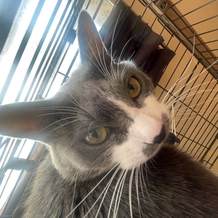 20ca8e54 69a6 4e56 ab63 39e414a3ff4e 1698972148774