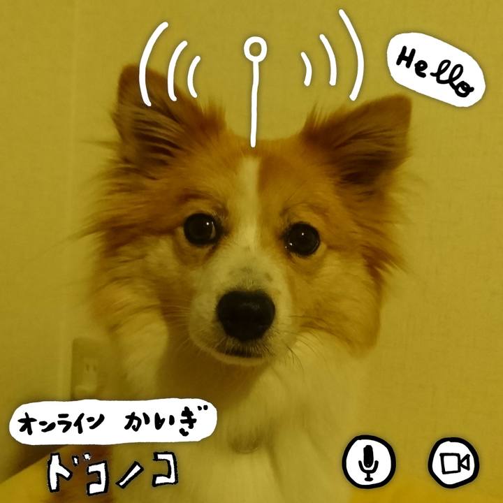 20ca8fa1 cc4e 486d a155 7afbab93c200 1590673889191