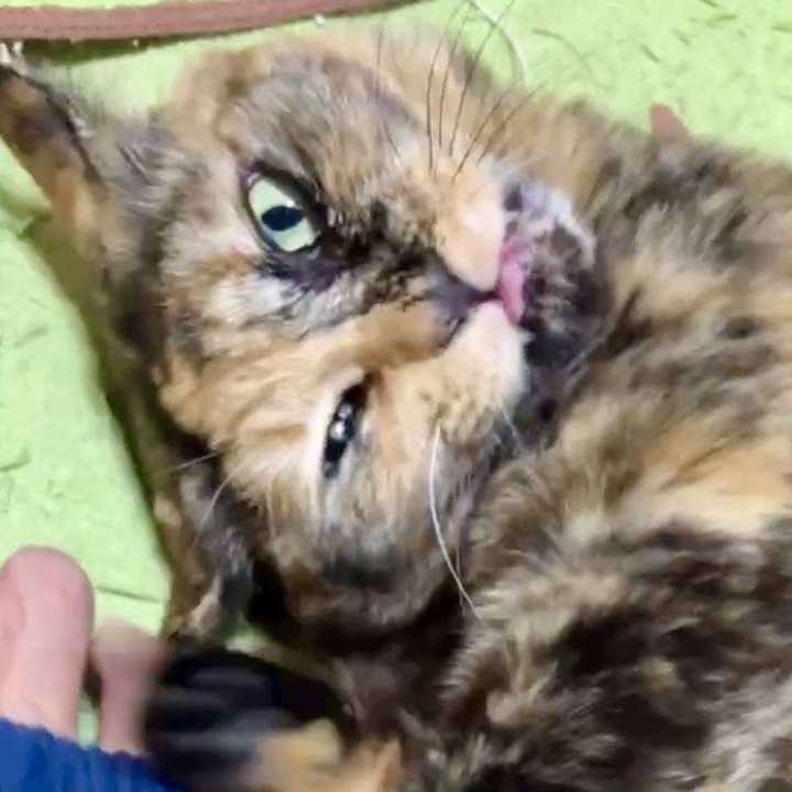 20ca9ceb f833 491b bec2 3d62663918d5 1732991690954