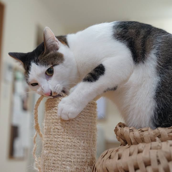 20cab52f da81 40a4 b23b 705d4dfa4414 1551962669242