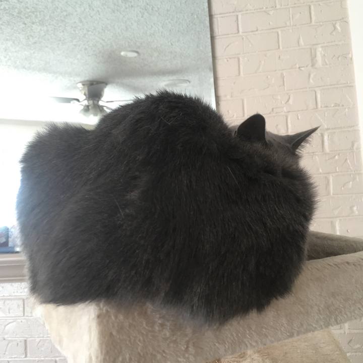 20cac164 5fc3 4bd4 830a 32f041546e8d 1645457339220