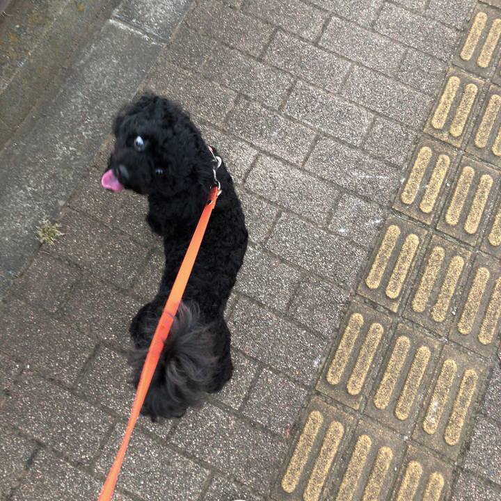 20cad3ba 7ecc 4541 9921 4df347a1d909 1533500344086