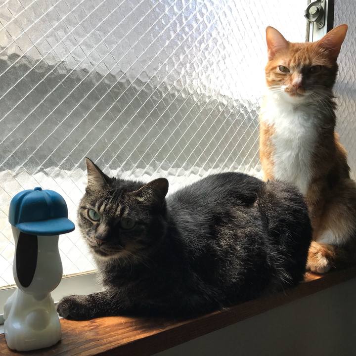 20caf033 eb94 4458 ab6d 1154f24fde57 1533348132167