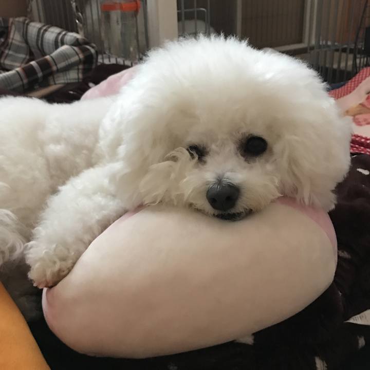 20caf6bf 3dae 49d5 bb6b 8b3ef023eadd 1555494996219