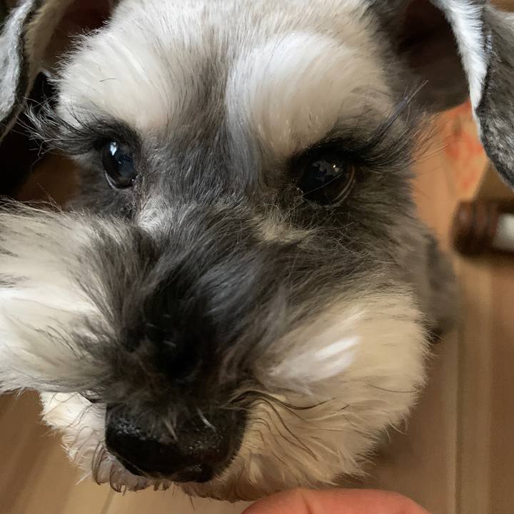 20cb0793 bdc8 4077 84bc 69e762243eb1 1646019297589