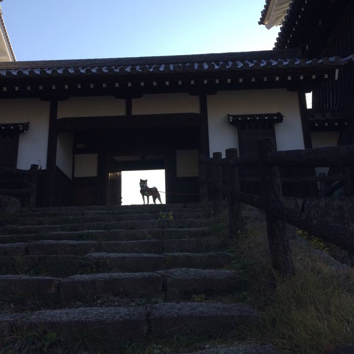 20cb32b0 1ee7 45cf b46c b0ce1e0e7e62 1510311893578