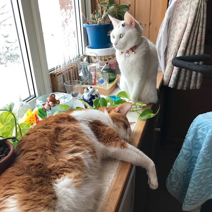 20cba39c e7c3 4249 aa5c 092569e3fe71 1546212086572