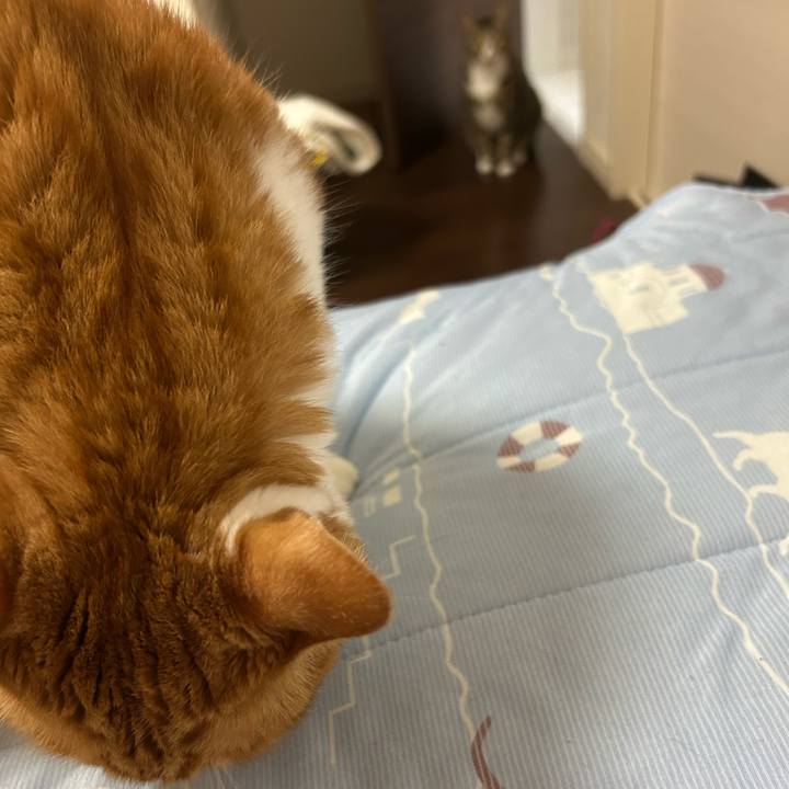 20cbacf1 06af 47a4 ba85 f240efde849a 1758414961691