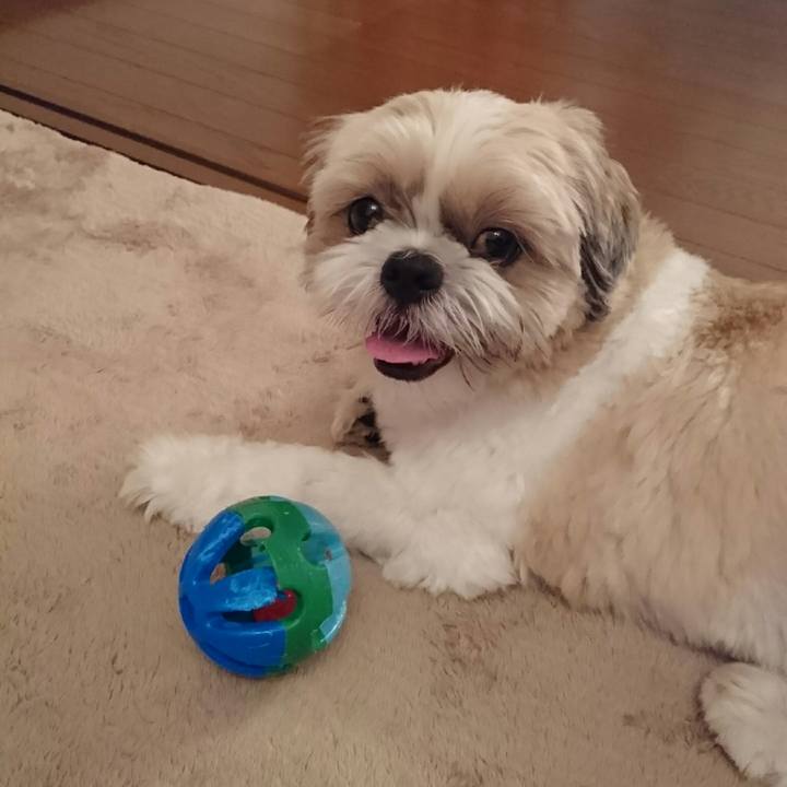 20cc0e8c cb61 4157 8aa4 57e42d791e8b 1533387593710