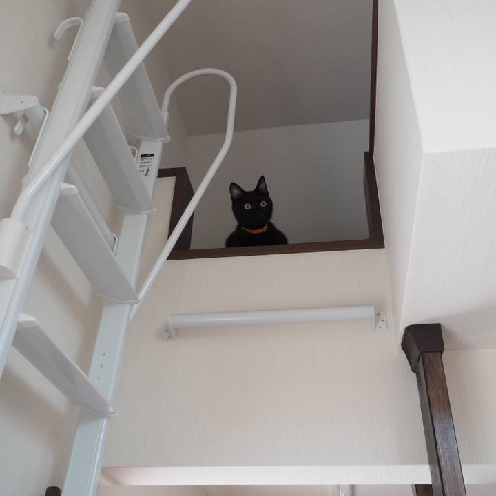 20cc1960 8c62 4bcb 9de0 a3360a182cdc 1539905463684