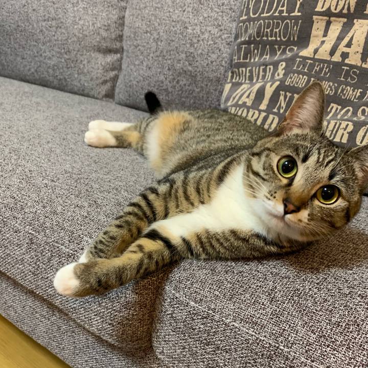 20cc310c dbbb 4340 b87a 5bfc0bc7f08d 1547467833779