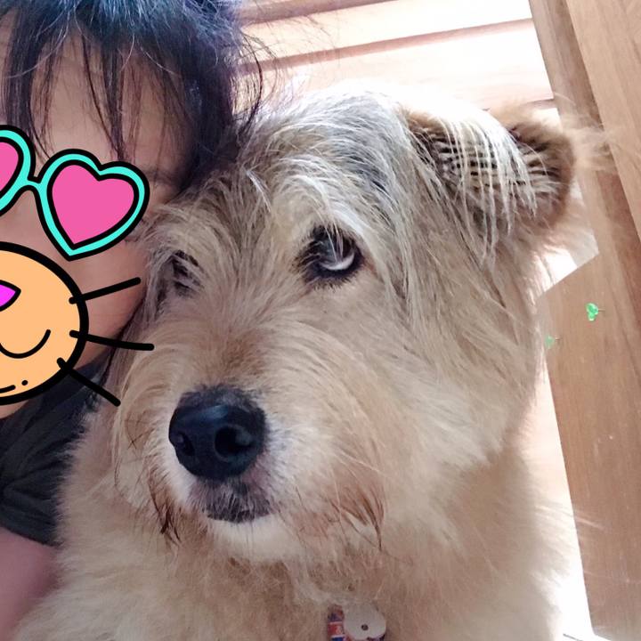 20cc6458 cfbc 4fff b08c 7d6ddb414b73 1626150019296