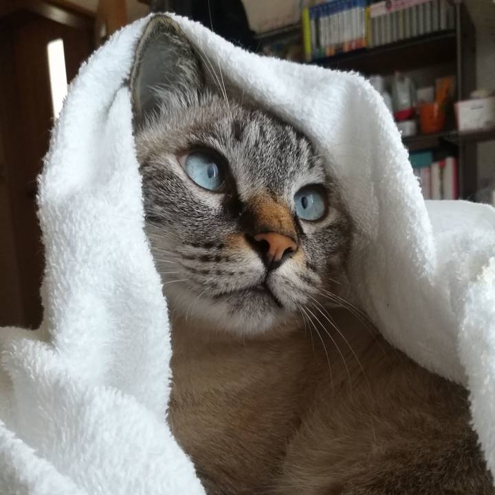 20cc64e3 540b 448c be16 62d968fe00ab 1570932902735