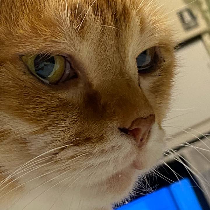 20cc9b77 6d24 4262 b8c3 8f58b772e8a4 1617973973259