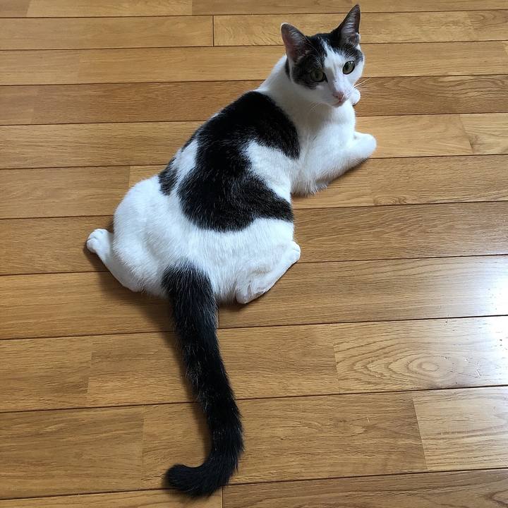 20cd41af 243b 4cc8 8345 b06697f9e971 1658708224223