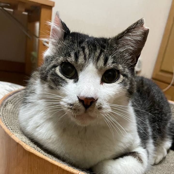 20cd5daf 159c 4625 ab8d e236f68ce9db 1687937458515