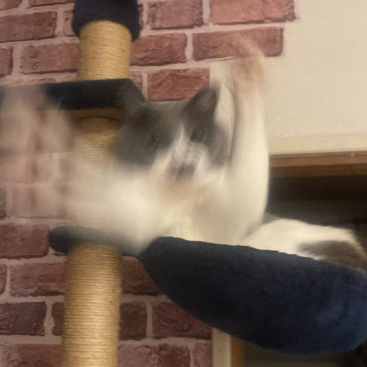 20cd6829 bbfb 4d74 9346 7eb56a7e82fd 1737561239068