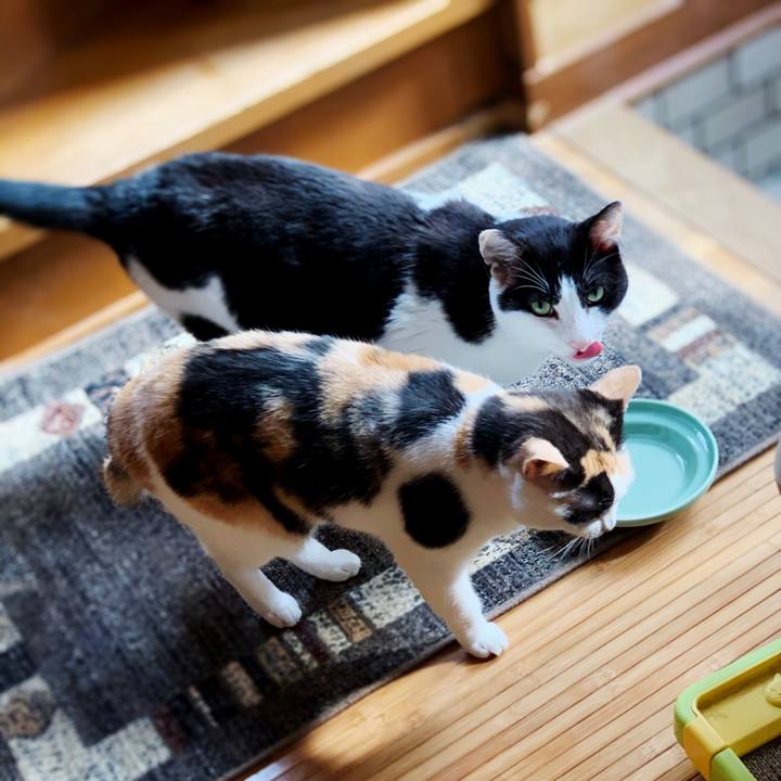 20cd6ebd 6f74 4025 81e6 9b18fcd20a4b 1595124052613