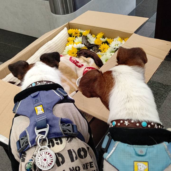 20cda248 3b4e 4fe5 b5fa e83c5c9931d3 1665361677118