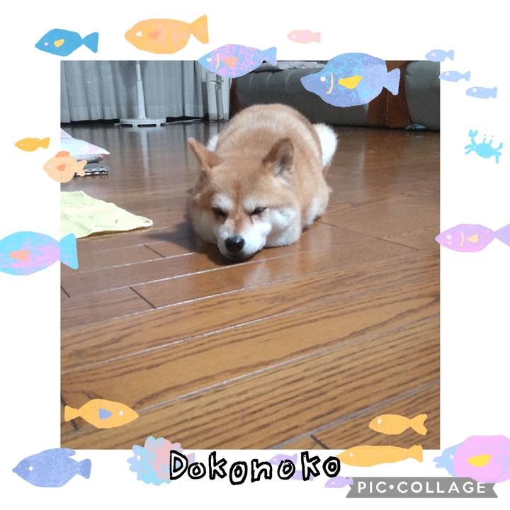 20cdafbe c710 488d b3cf 798f838bd0d4 1755053550537