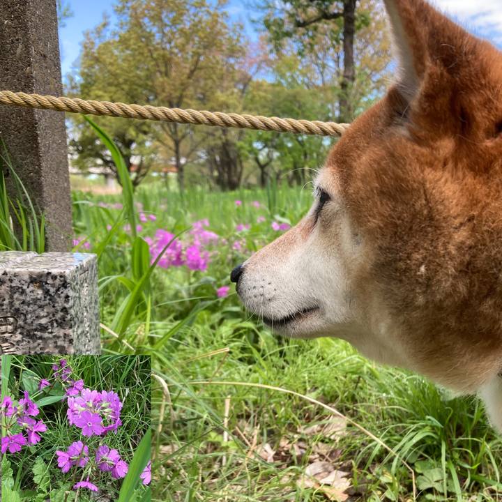 20ce22ad 996e 4146 a3ff d59f66e94044 1650088576547