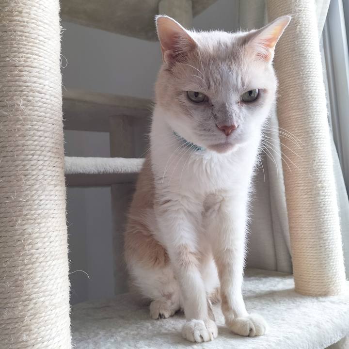 20ce6380 ba67 4e38 a03d d053691612a7 1689288959782