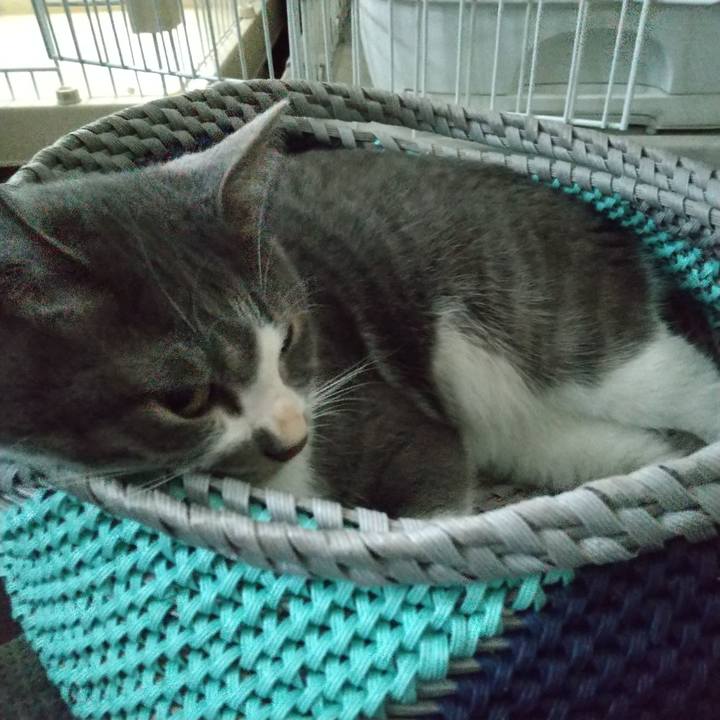 20cea0fa 768d 40dd 80f5 7388ff5caf29 1629540497982