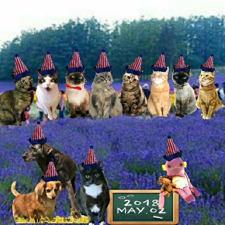 20cebc6e 1b43 49a8 86fd b7953e853886 1525258882136