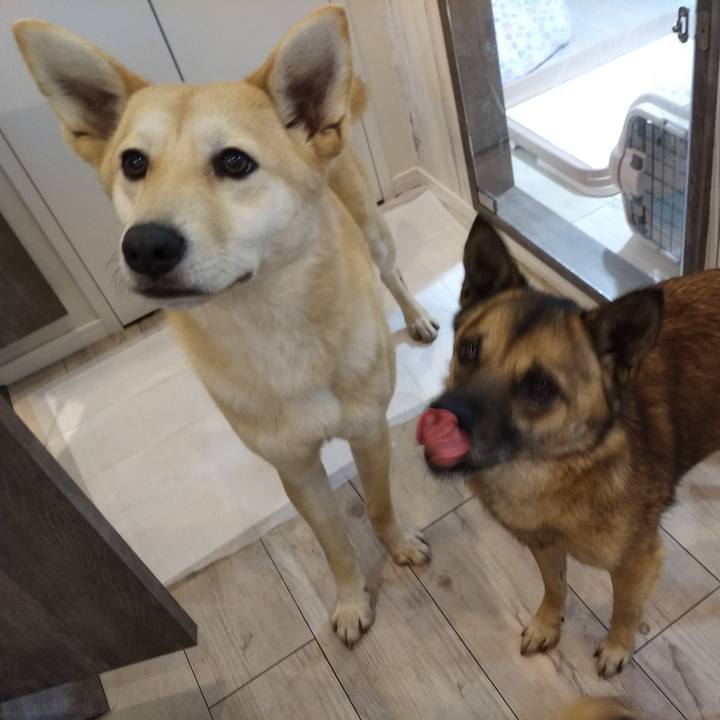 20cf3cb2 0670 4573 9505 d577246e3cf0 1581249921240