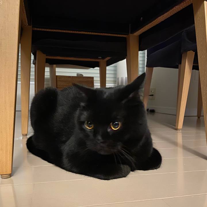 20cf4212 7fd7 4f5d b416 cc10e6b0710c 1643365293363