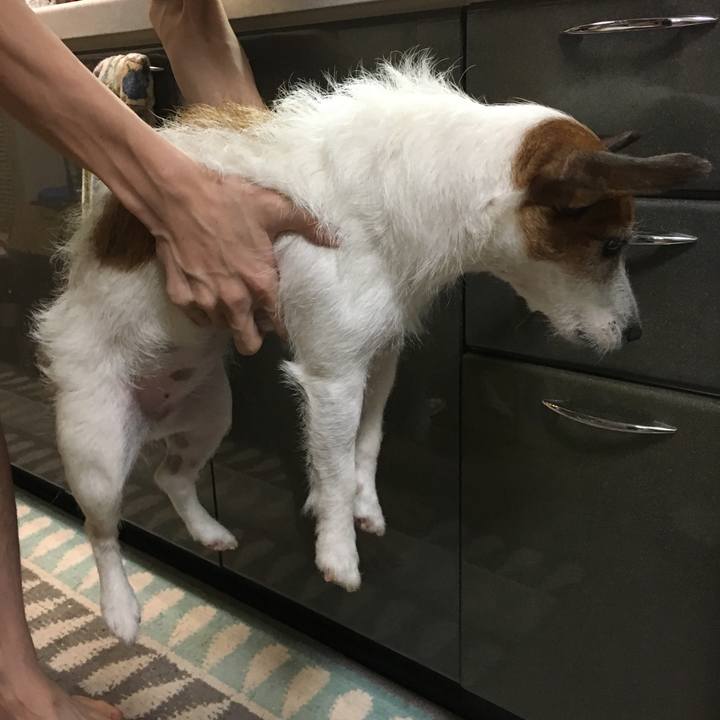 20cf8554 44f9 4c74 95d9 bbea54e2b2e7 1571372034564