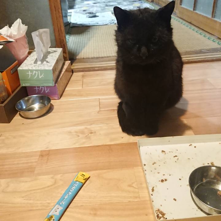 20cf9b3a cc3a 4c3c 963f d8a83f215c8d 1622375467731