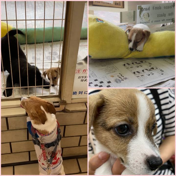 20cfc60a 93b4 429a 9d5d 58e18c35d711 1592802929703